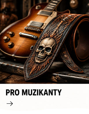 pro muzikanty